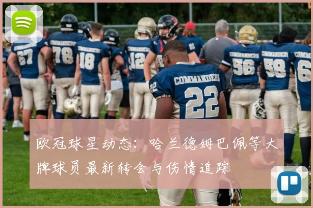 欧冠球星动态：哈兰德姆巴佩等大牌球员最新转会与伤情追踪